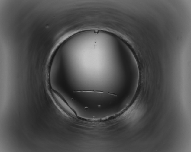 X0000086741517200704131117
