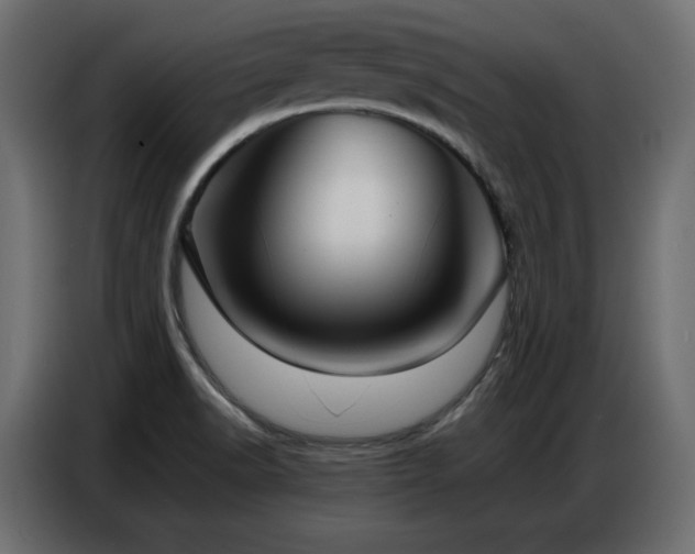 X0000086741518200704131117