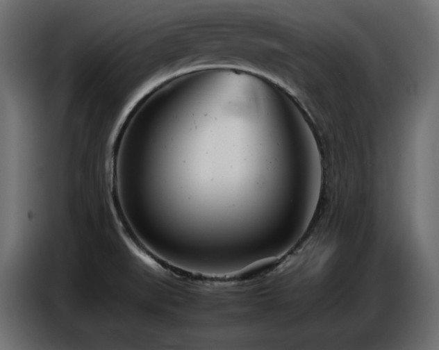X0000086741519200704131117
