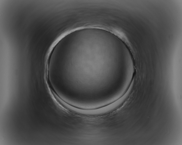 X0000086741520200704131117