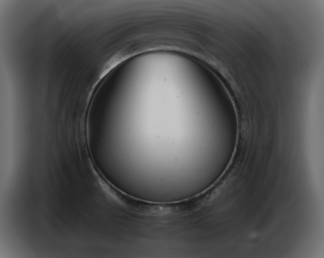 X0000086741521200704131117