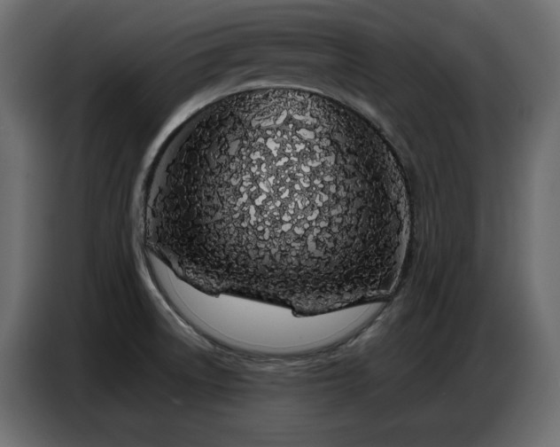 X0000086741522200704131117