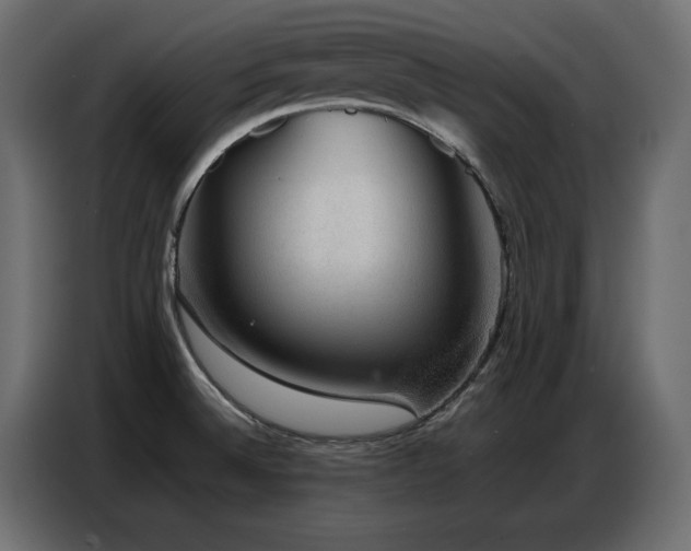 X0000086741524200704131117