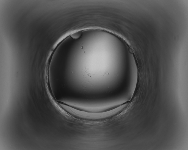 X0000086741526200704131117