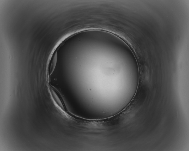 X0000086741527200704131117