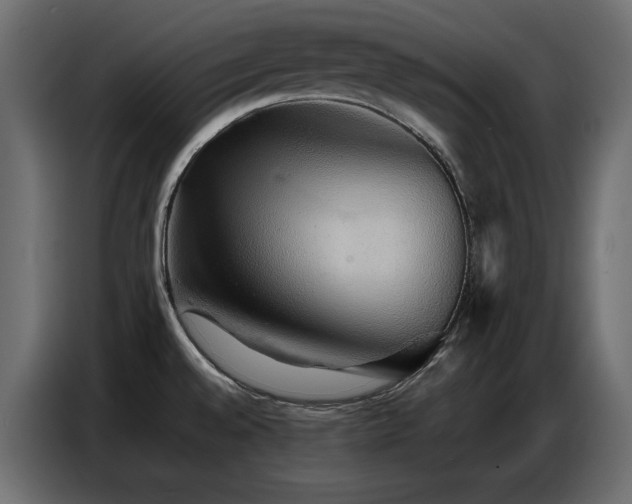 X0000086741528200704131117
