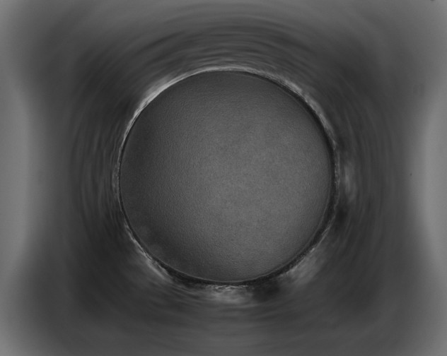 X0000086741529200704131117