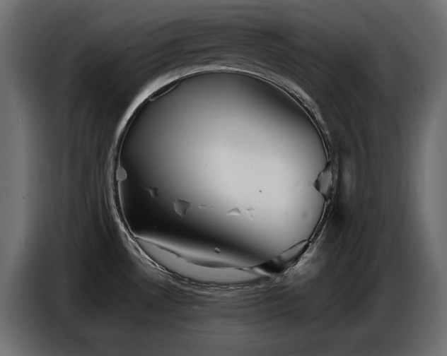 X0000086741530200704131117