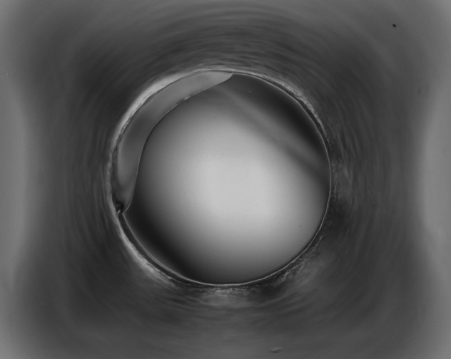 X0000086741531200704131117