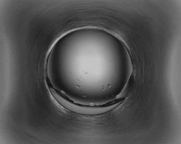X0000086741532200704131117
