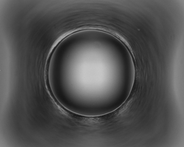 X0000086741533200704131117