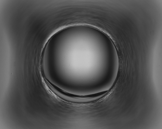 X0000086741534200704131117