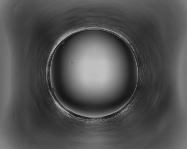 X0000086741535200704131117