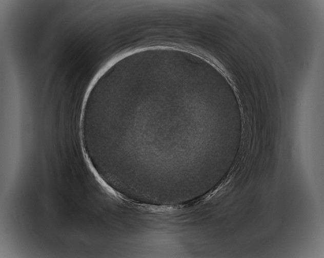 X0000086741536200704131117