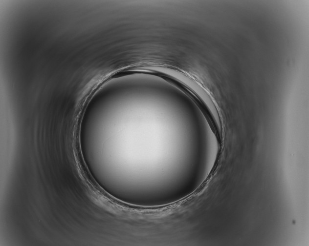 X0000086740001200704201715