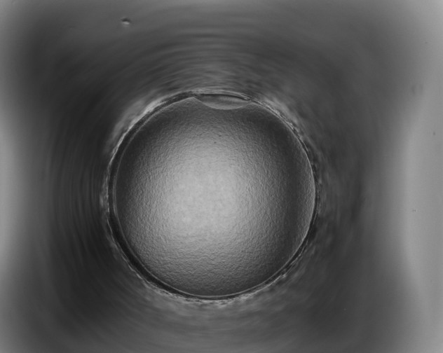 X0000086740002200704201715