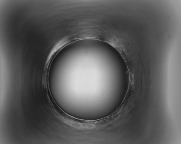 X0000086740004200704201715