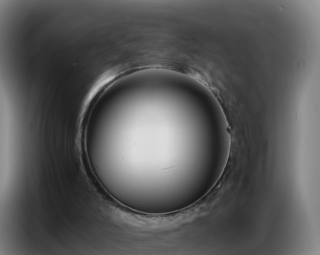 X0000086740006200704201715