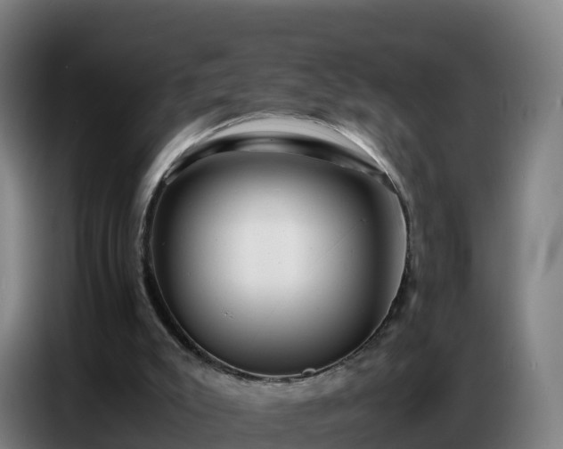 X0000086740007200704201715