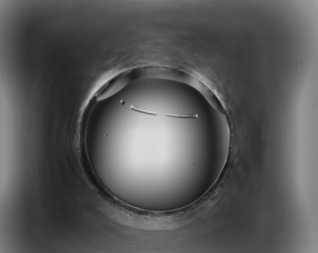 X0000086740008200704201715