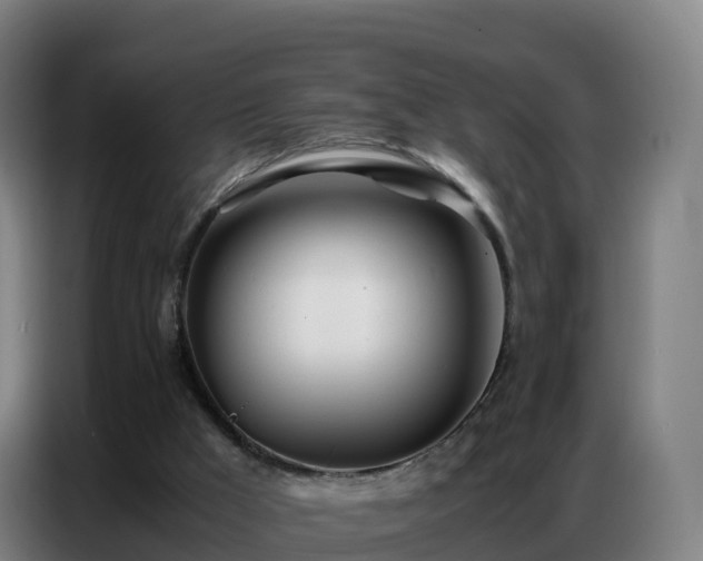 X0000086740009200704201715