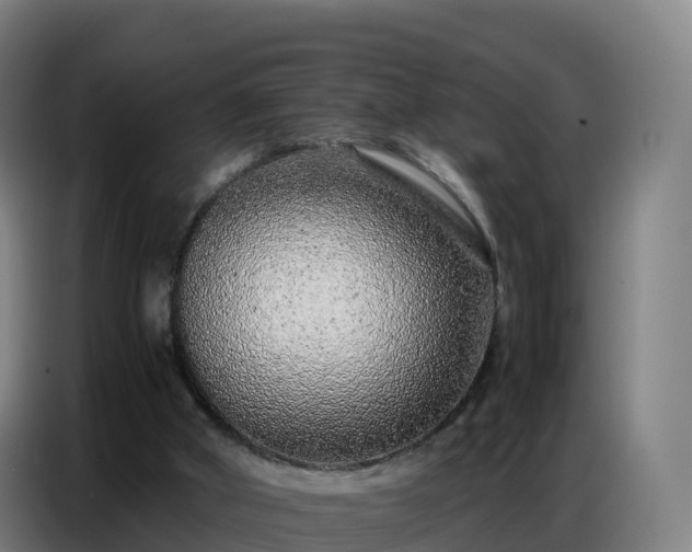 X0000086740010200704201715