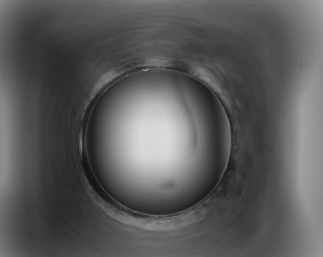 X0000086740011200704201715