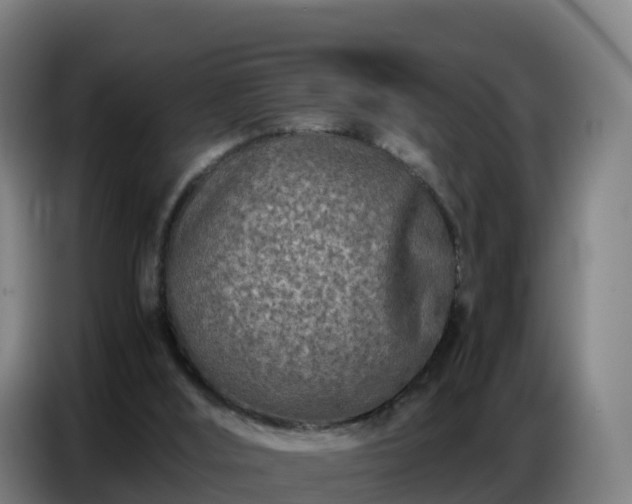 X0000086740012200704201715