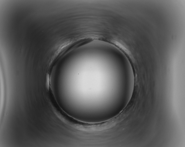 X0000086740013200704201714