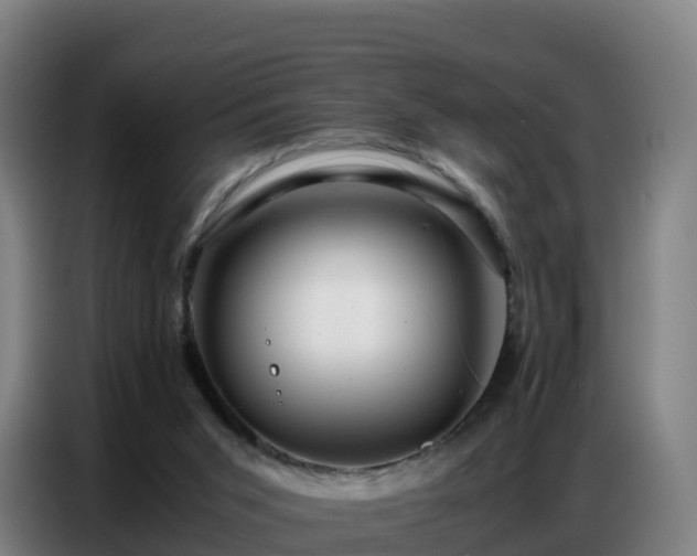 X0000086740015200704201714