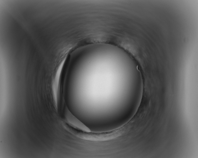 X0000086740017200704201714