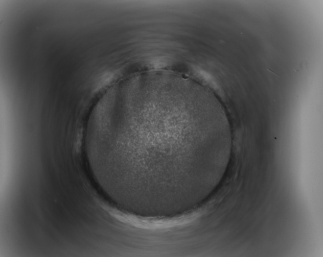 X0000086740018200704201714