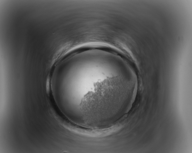 X0000086740019200704201714