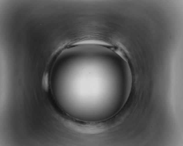 X0000086740020200704201714