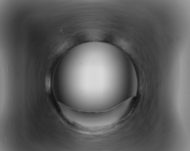 X0000086740021200704201714