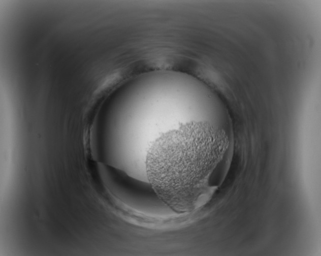 X0000086740023200704201714