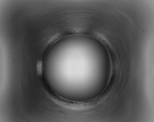 X0000086740024200704201714