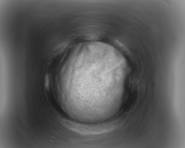 X0000086740026200704201714