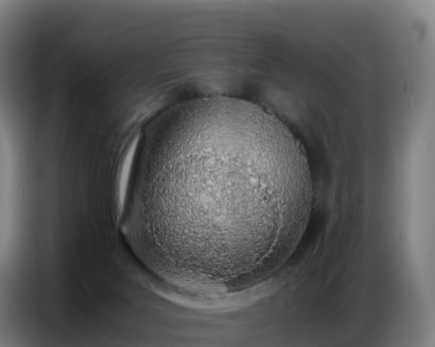 X0000086740027200704201714