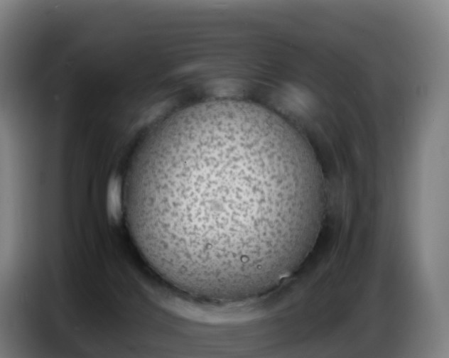 X0000086740028200704201714