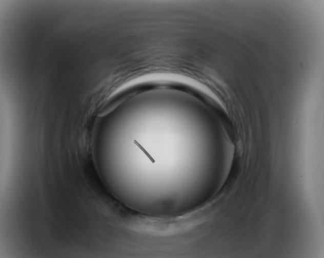 X0000086740029200704201714