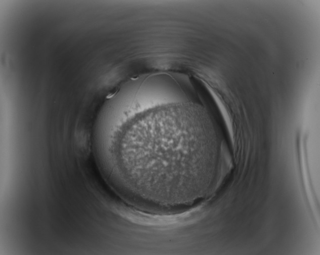 X0000086740031200704201714