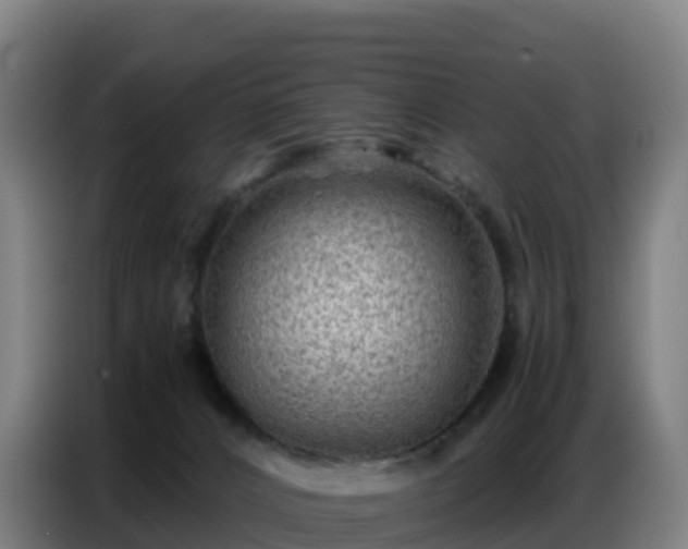 X0000086740032200704201714