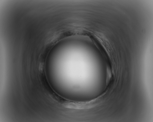 X0000086740033200704201714