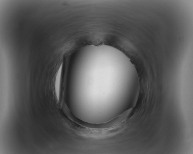 X0000086740037200704201714