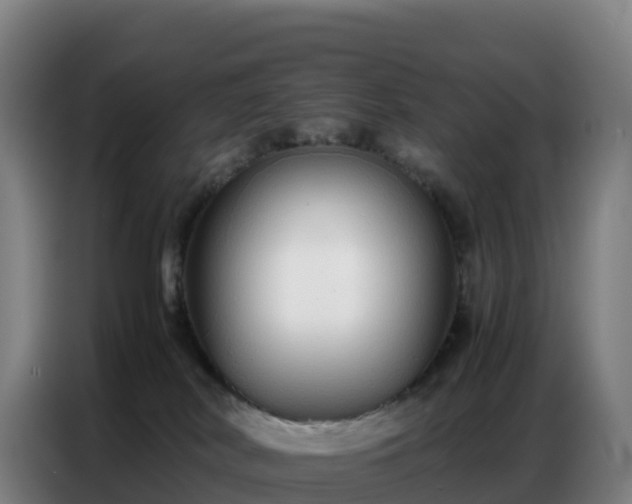 X0000086740038200704201714