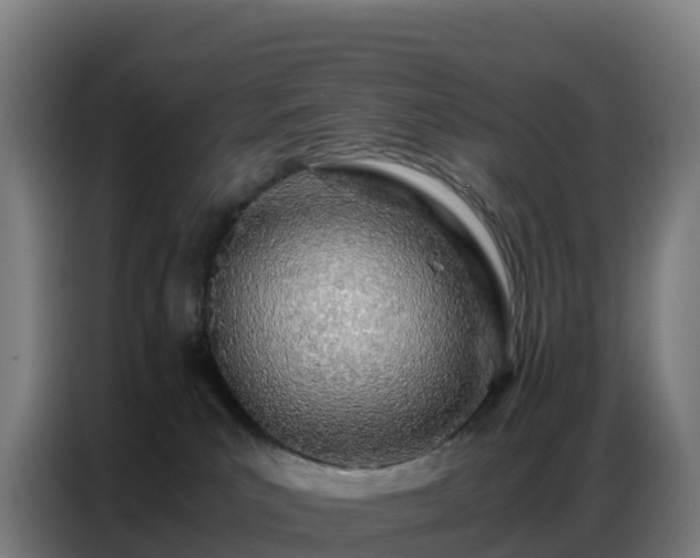 X0000086740039200704201714