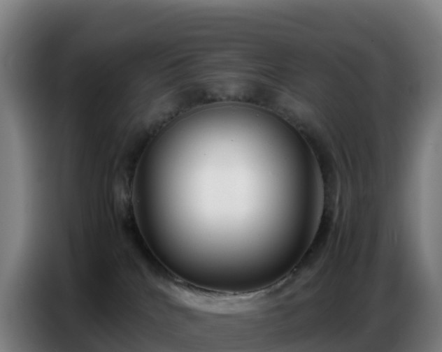 X0000086740040200704201714