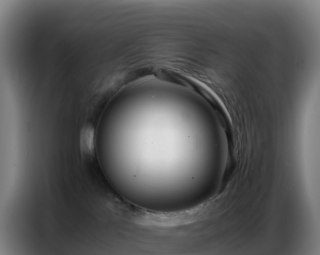 X0000086740041200704201714