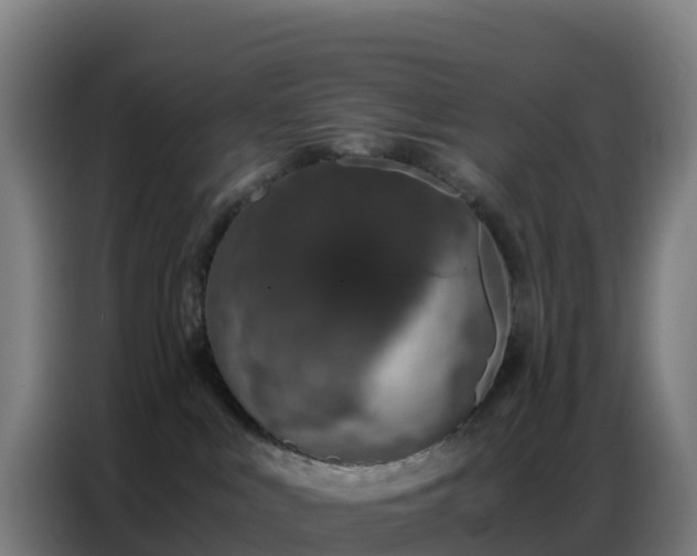 X0000086740043200704201714